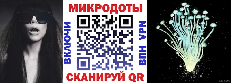 Псилоцибиновые грибы Psilocybine cubensis  Сасово 